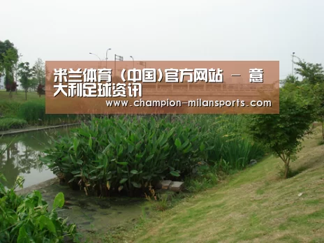 案例展示四(图1)
