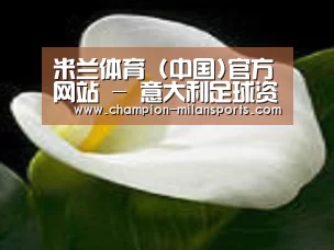 产品名称七