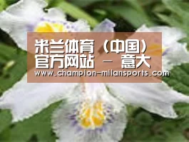 产品名称二