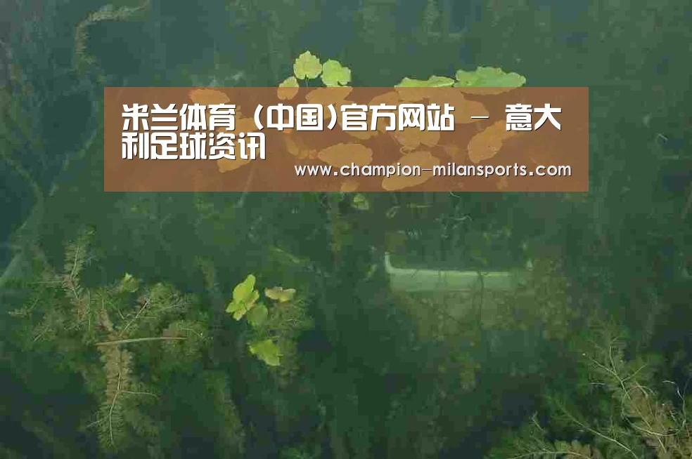案例展示三
