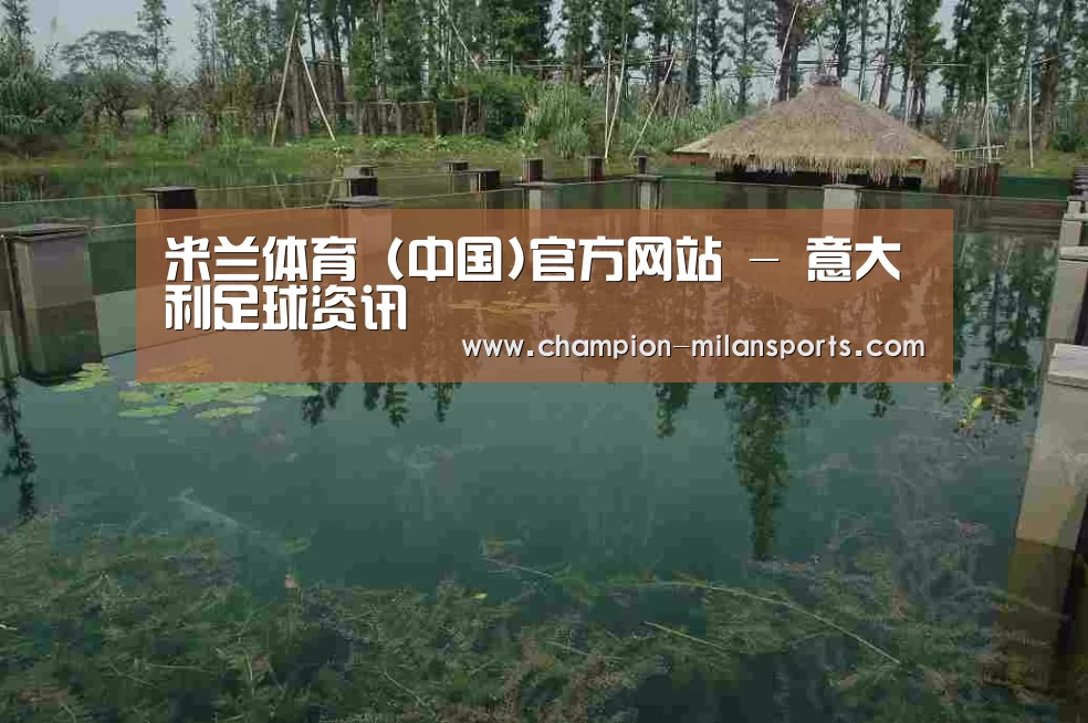 案例展示二