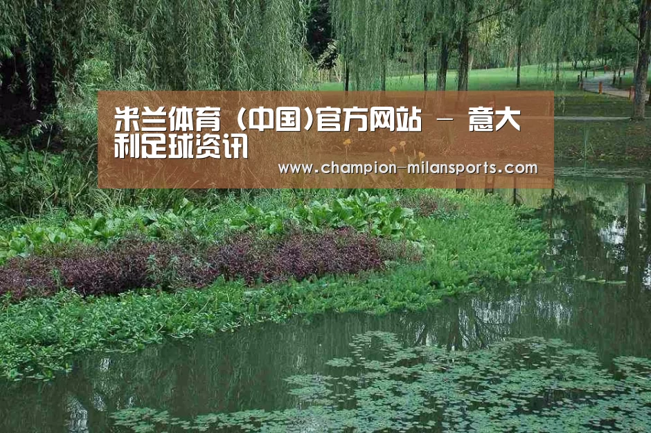 案例展示一