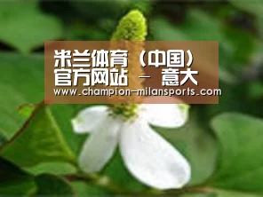 产品名称三