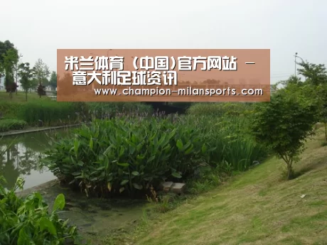 案例展示四