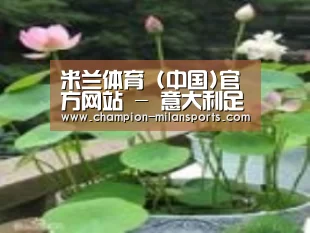 产品名称一
