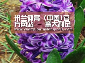 产品名称八