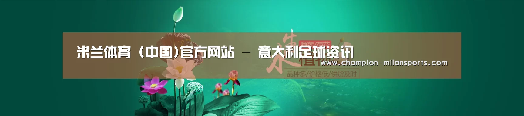 鲜花水草花卉网站模板