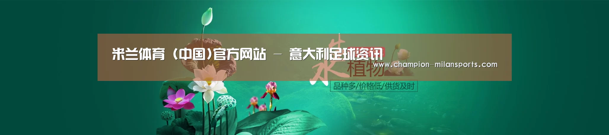 鲜花水草花卉网站模板