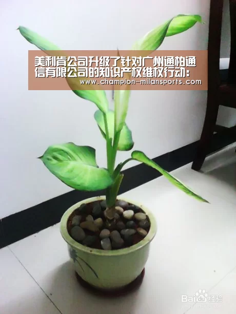 米兰体育全站