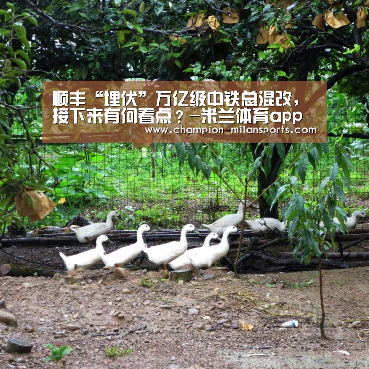 顺丰“埋伏”万亿级中铁总混改,接下来有何看点?-米兰体育app下载安装(图1) 米兰体育全站下载