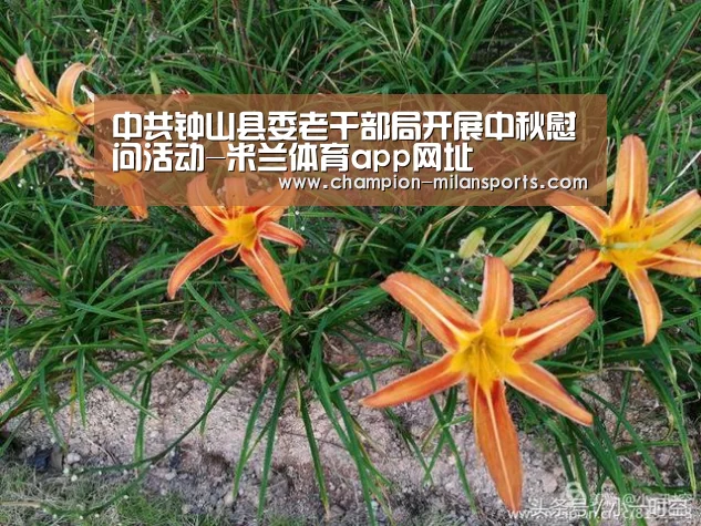 米兰体育app下载安装
