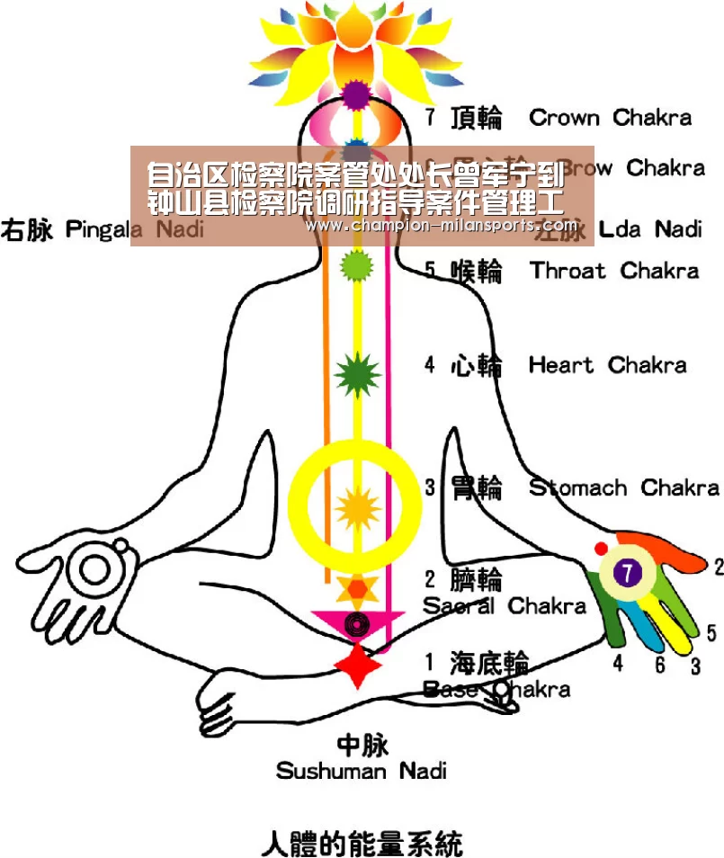 米兰体育全站