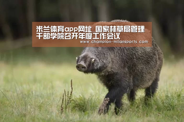 米兰体育app网址_国家林草局管理干部学院召开年度工作会议(图1) 米兰体育app网址