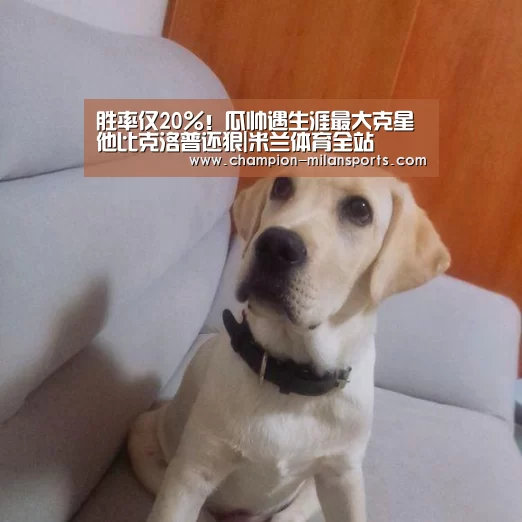 米兰体育全站下载